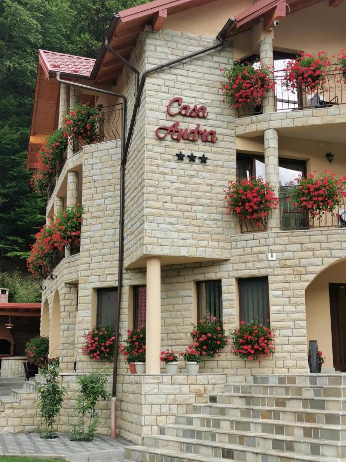 Hotel Casa Andra Slănic-Moldova Exterior foto